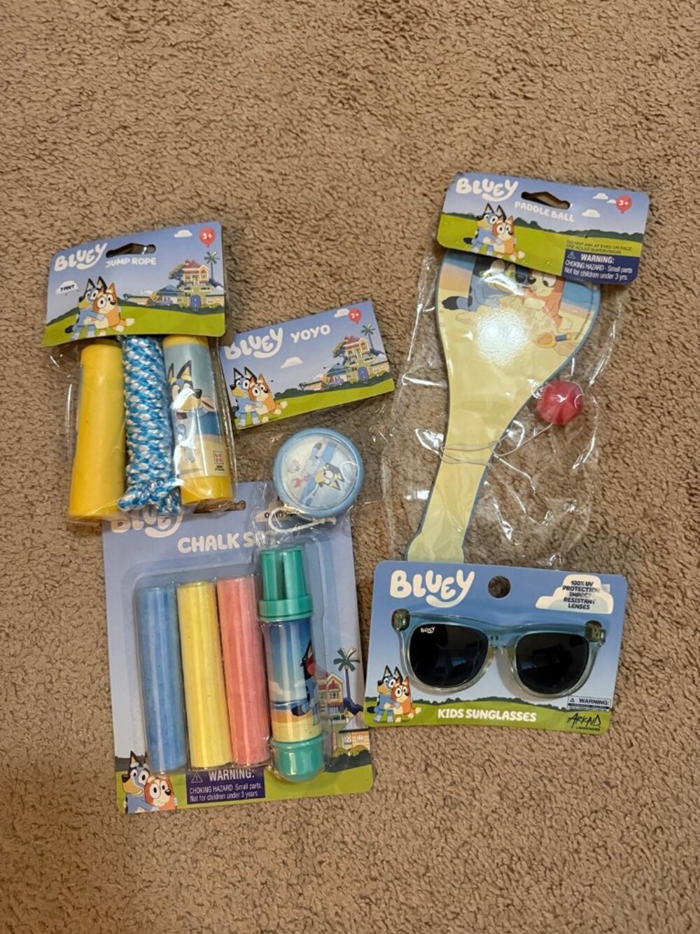 5 piece bluey outdoor play set bundle